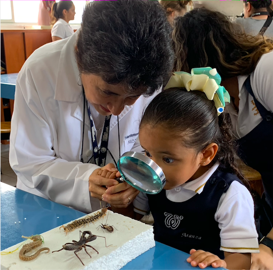 Blog-Imagen-como-funciona-bachillerato-internacional-preescolar-como-funciona-Colegio-Williams-Cuernavaca-Ago20-V1