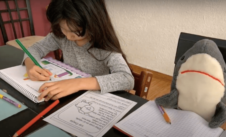 Blog-Imagen-como-son-clases-colegio-williams-covid-19-clases-nivel-primaria-Colegio-Williams-Cuernavaca-Ago20