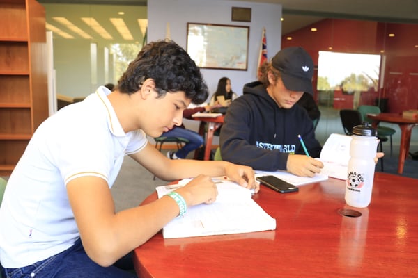 Blog-Imagen-como-elegir-mejor-carrera-universitaria-que-pasa-si-aun-no-sabes-que-estudiar-Colegio-Williams-de-Cuernavaca-Oct