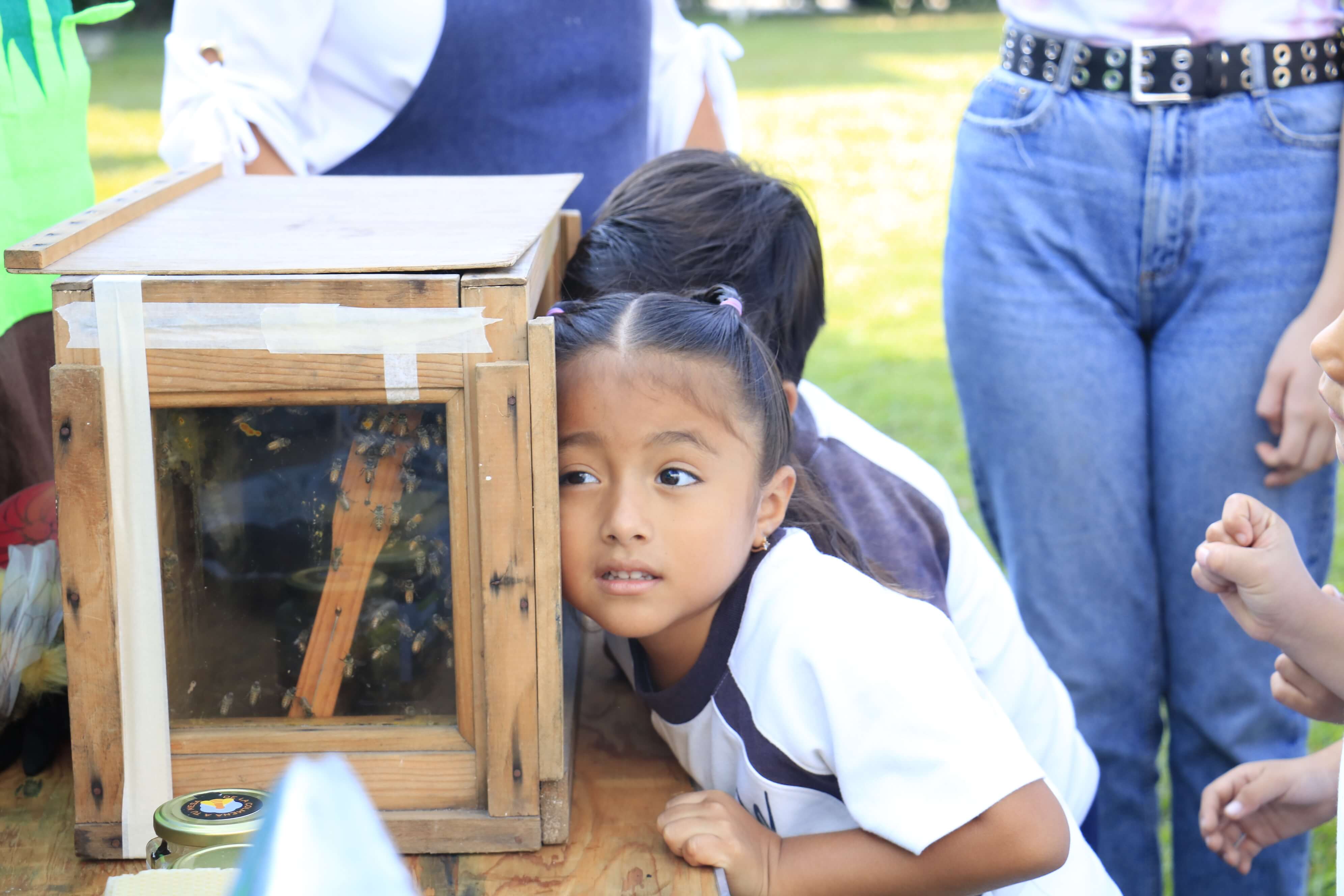 Blog-Imagen-habilidades-puede-desarrollar-hijo-desde-preescolar-pasion-por-aprender-Colegio-Williams-de-Cuernavaca-Oct