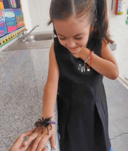 Blog-Imagen-preescolar-aprender-jugando-mejor-forma-aprender-juego-orientado-Colegio-Williams-de-Cuernavaca-Nov20