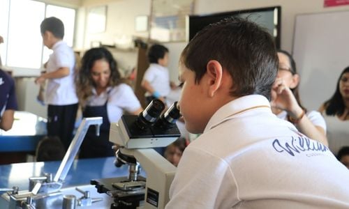 Cuales-son-las-caracteristicas-que-debe-tener-un-buen-docente