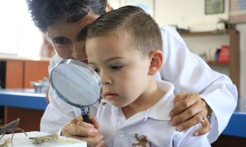 Dale-instrucciones-claras 