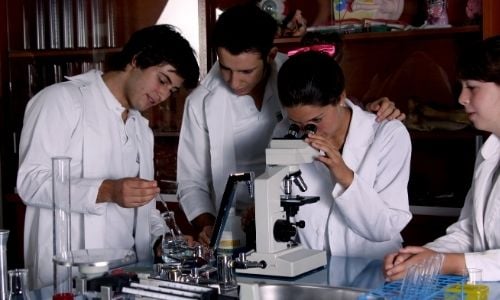 El-Programa-del-Diploma 