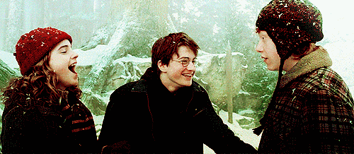 pottergif14