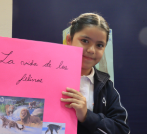 actividades-extraescolares-primaria-taller-tareas
