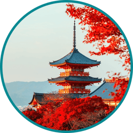 viajes-internacionales-williams-imagen-slider-japon