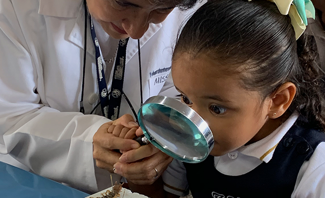 mejor-kinder-en-cuernavaca-imagen-masoneria-laboratorio
