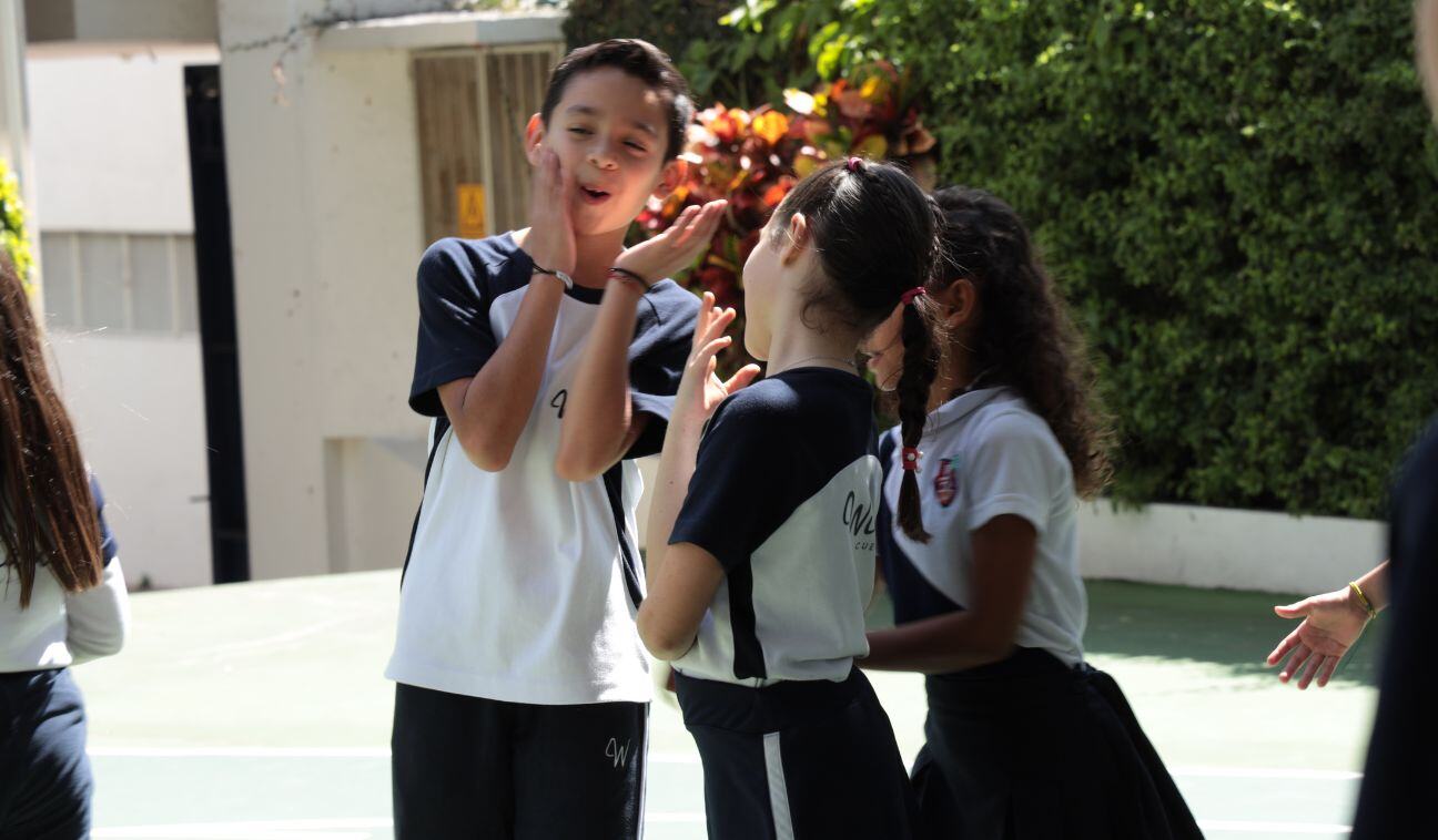 TODOS LOS CURSOS DEL COLEGIO visual data 7